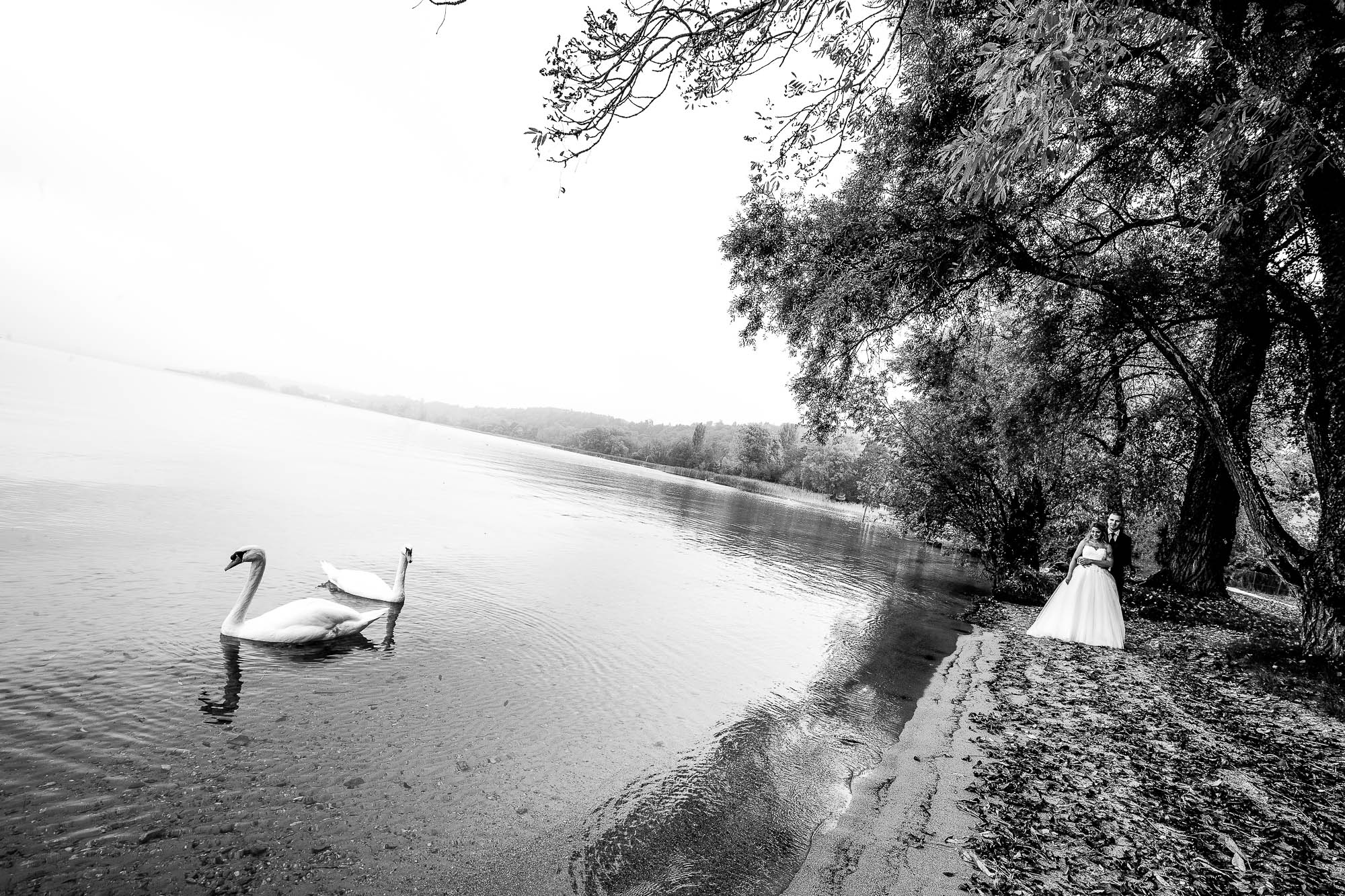 Export x3 1DX26327 Bearbeitet Hochzeit 2019 Tatjana und Hermann 3